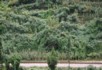 Kunming to Hanoi narrow gauge railway 2