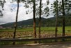 Scenery on the way back to Kunming