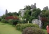 The minor stone forest