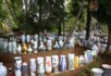 Vases - Bird and flower market