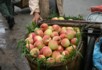 What a peach - Bird and flower market