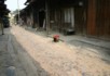Chillis drying in Da Xu