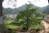 Countryside drive 2