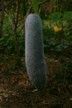 Another type of gourd