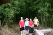 Bamboo forest