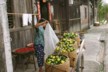 Tangerines already picked