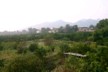 View across Mao Zhou island