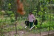 Watering plants