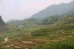 Typical farmland