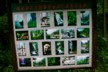 Photos to advertise the waterfall