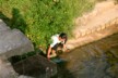 Collecting snails