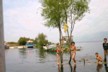 Boys swimming near the ferry port