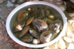 Clams