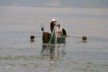 Fishing on the lake
