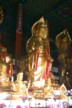 Golden Buddhas