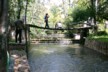 A Shuhe Lily bridge