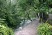 Black Dragon Park