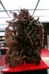 Carved root