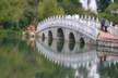 Five hole bridge reflection