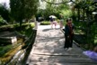 Lily bridge