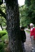 Mah Jhong tree