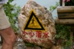 Mind Your Step