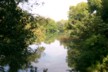 Reflections in the park