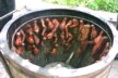 Tandoori Chicken