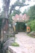 The Institute of Dongba Culture