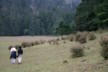 In search of birds
