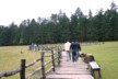 Plank walk