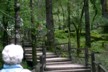 Start of walk at the top