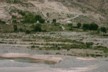 A vineyard in the making