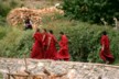 The Buddhists are off to lunch