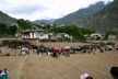 The bull square