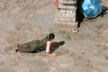 Prostration - step 2