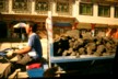 Carrying coal