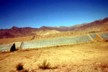 Polythene growing areas