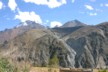 Granny's view