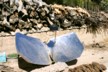 The water in the solar powered kettle has boiled