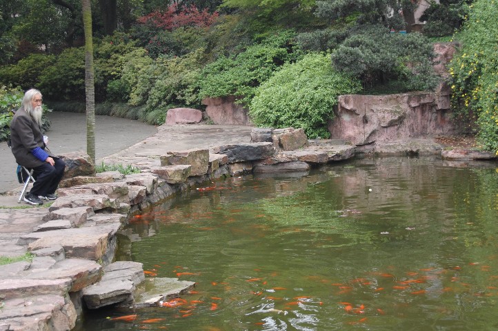 Changsha old man by pool