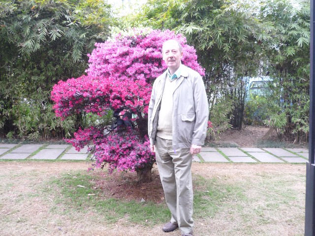 Three different colours on one bush