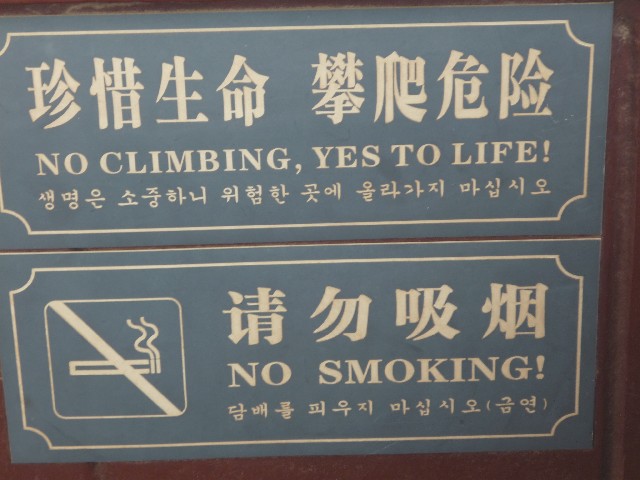 Yes to life