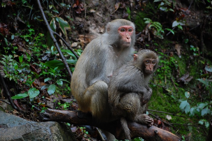 Mother and baby