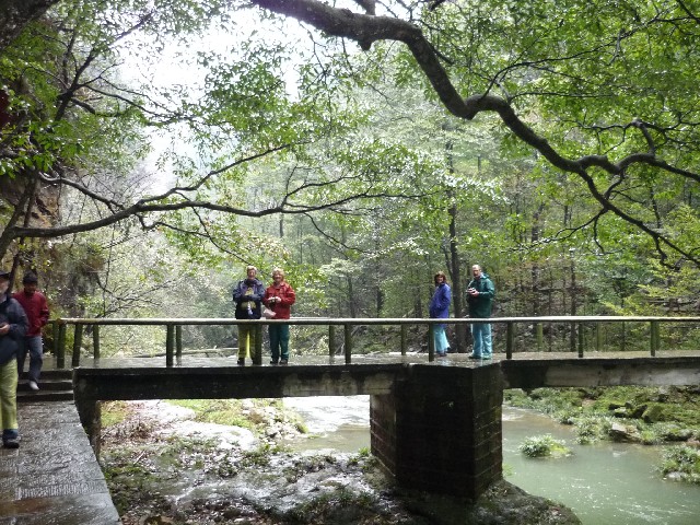 One of many bridges