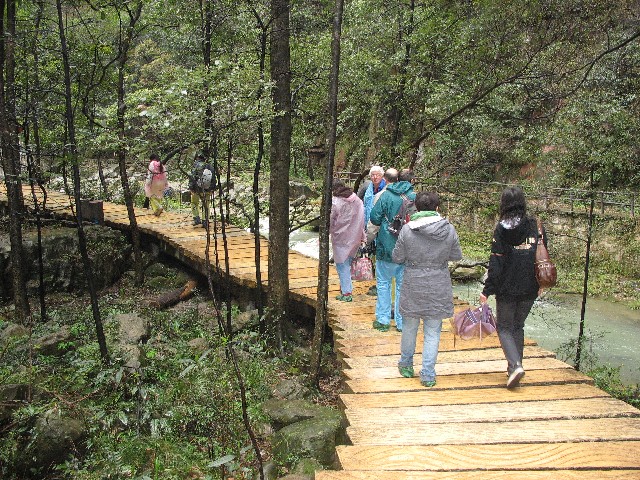 Paved path became a boardwalk