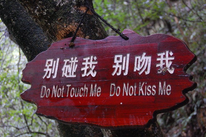 Tree signs