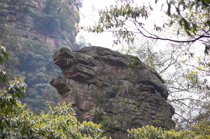 Turtle rock