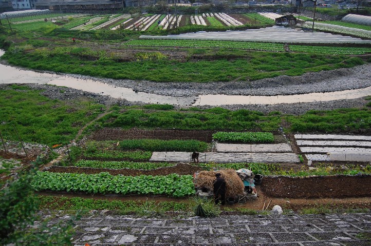 Farmer at work
