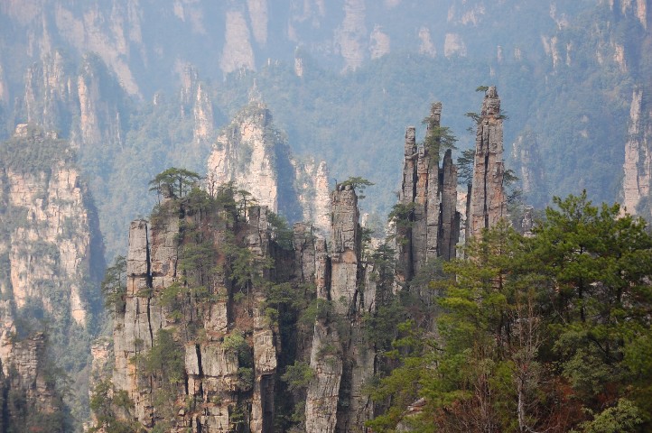 How do those trees grow on those little mountain tops